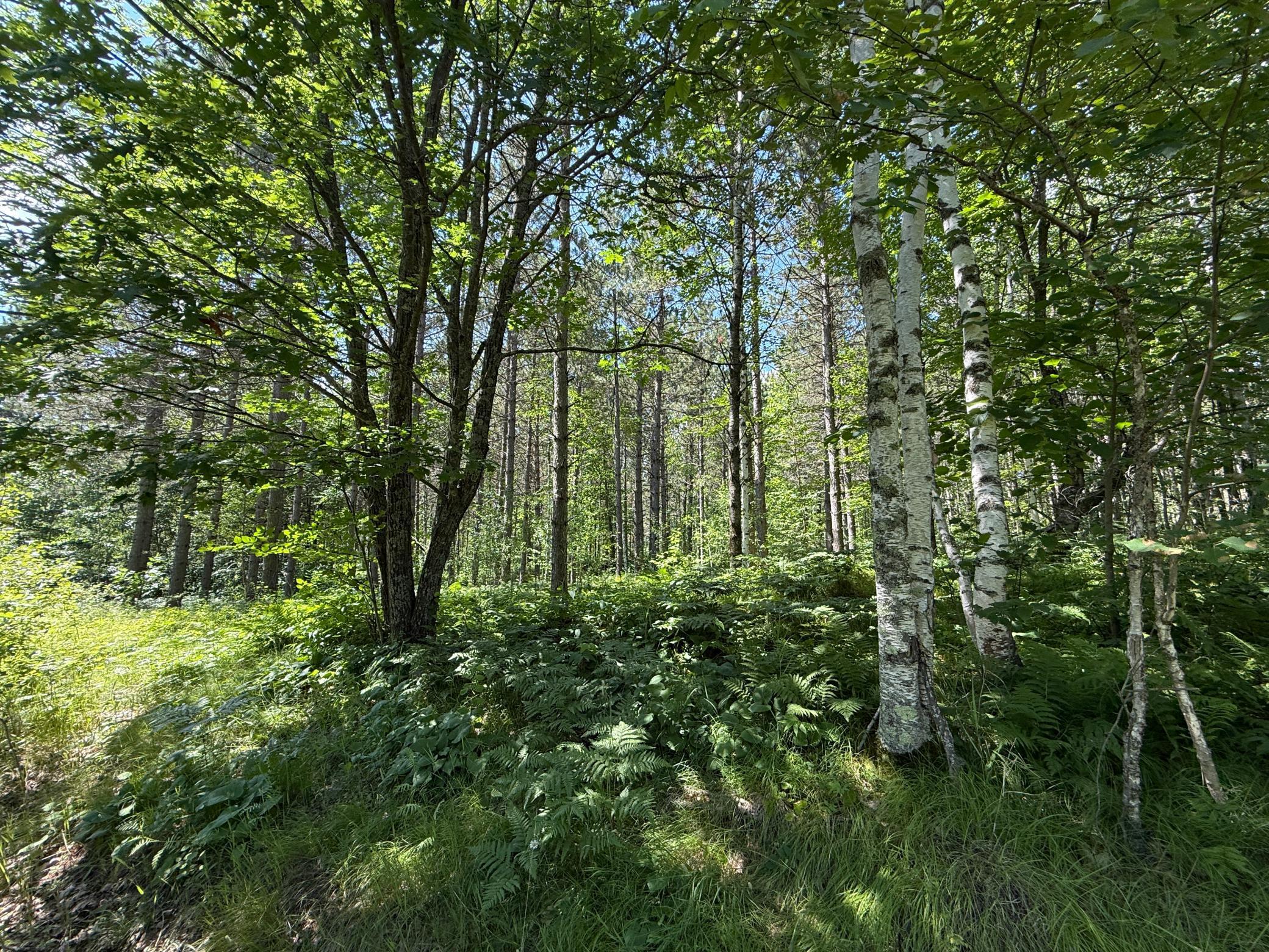 Tbd (option A) Tbd (option A) Maple Grove Road Cloquet, MN 55720 - Photo 25 of 85