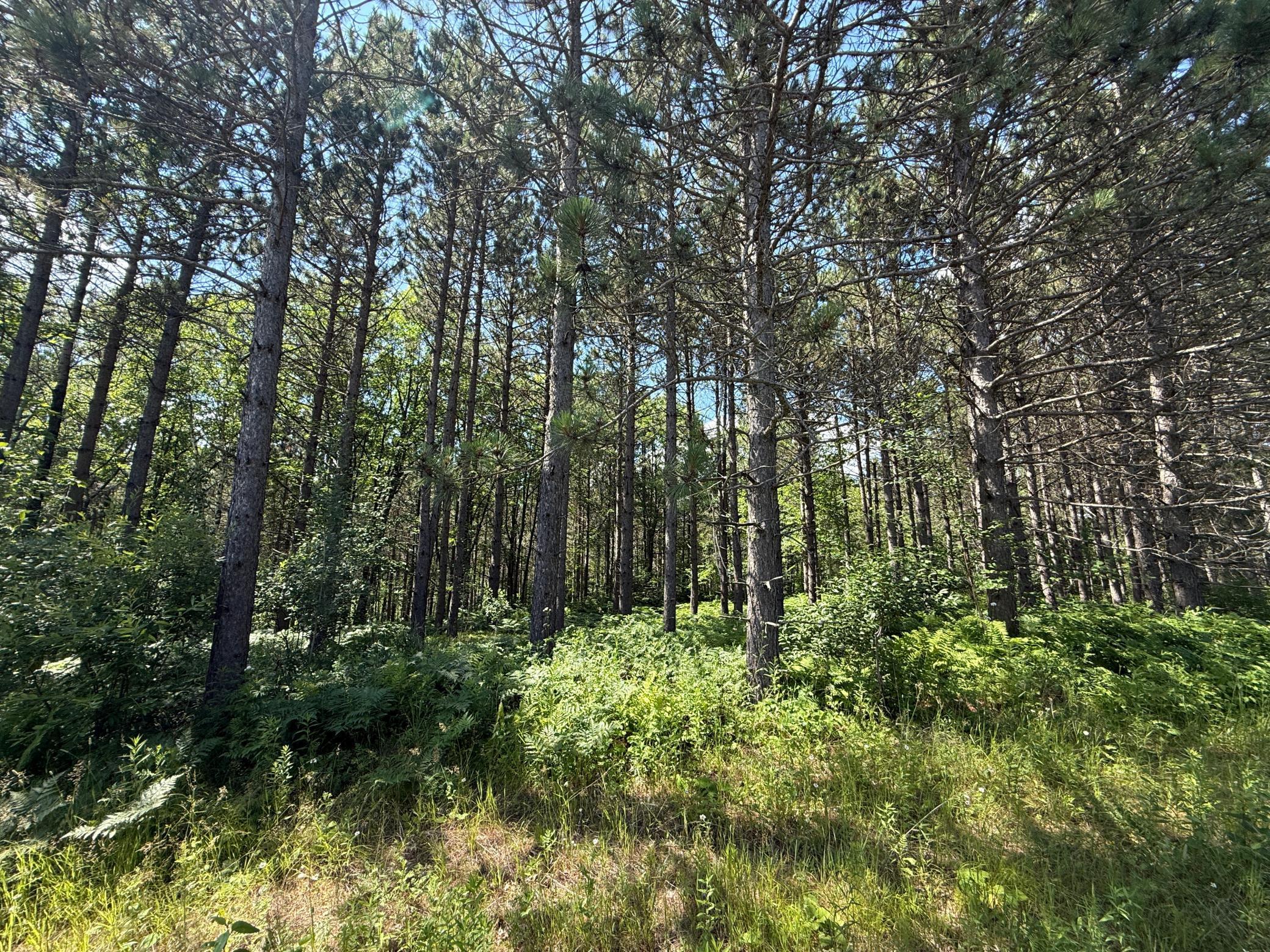 Tbd (option A) Tbd (option A) Maple Grove Road Cloquet, MN 55720 - Photo 26 of 85