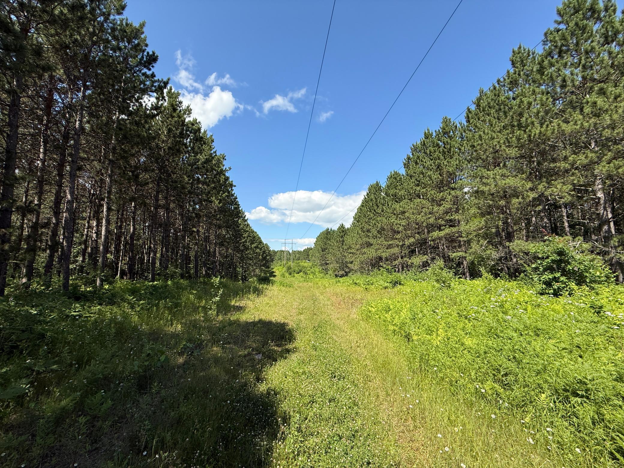 Tbd (option A) Tbd (option A) Maple Grove Road Cloquet, MN 55720 - Photo 27 of 85