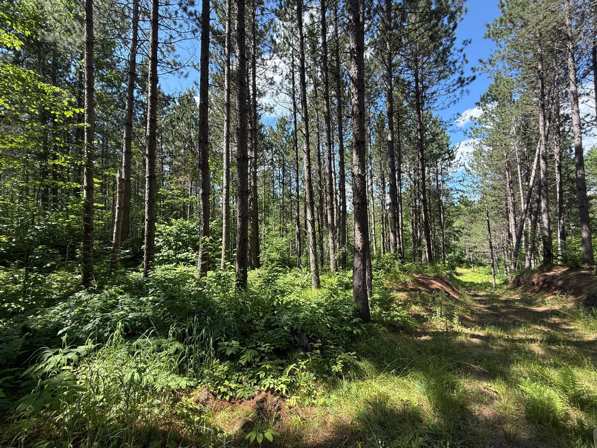 Tbd (option A) Tbd (option A) Maple Grove Road Cloquet, MN 55720 - Photo 30 of 85