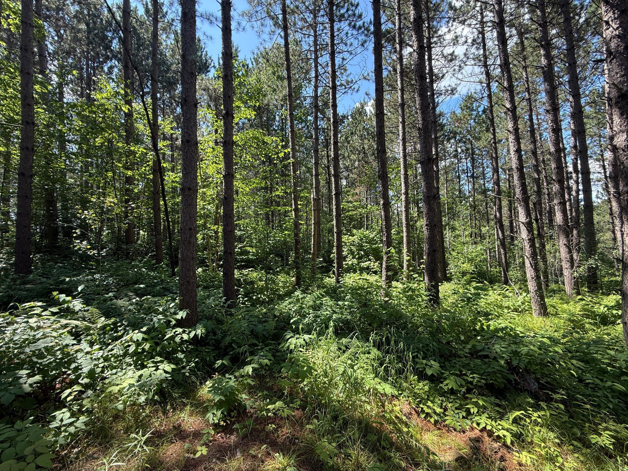 Tbd (option A) Tbd (option A) Maple Grove Road Cloquet, MN 55720 - Photo 31 of 85