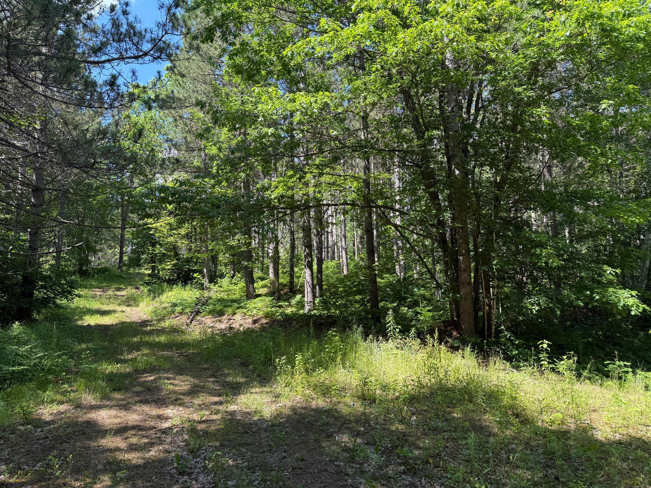 Tbd (option A) Tbd (option A) Maple Grove Road Cloquet, MN 55720 - Photo 33 of 85