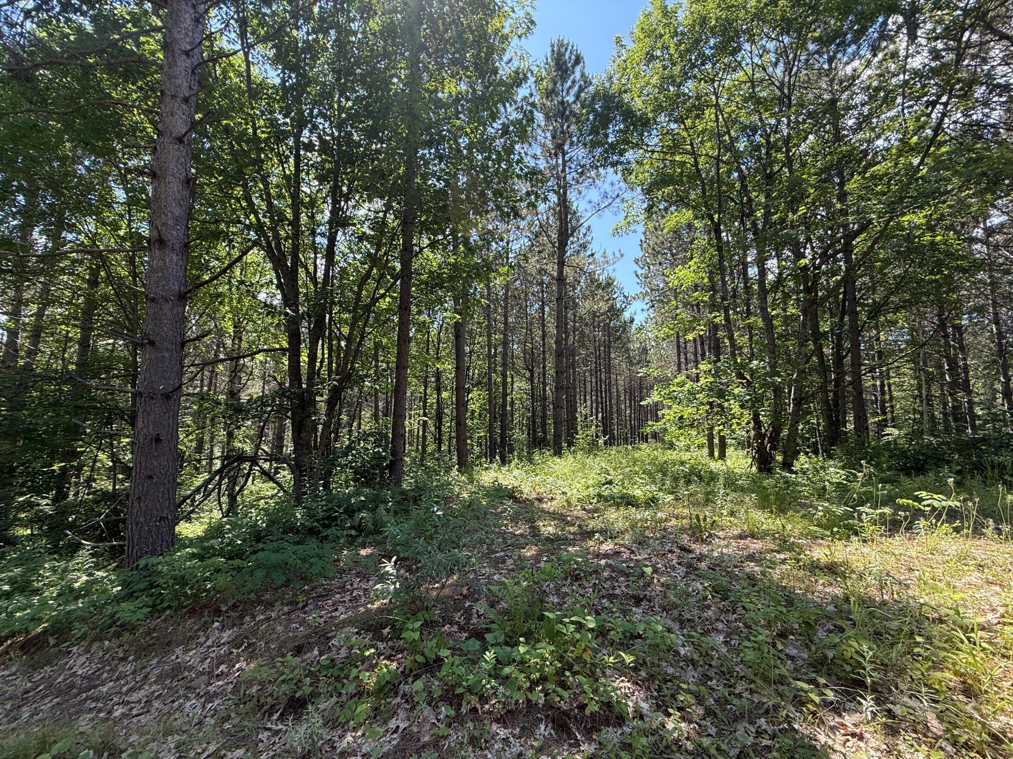 Tbd (option A) Tbd (option A) Maple Grove Road Cloquet, MN 55720 - Photo 34 of 85