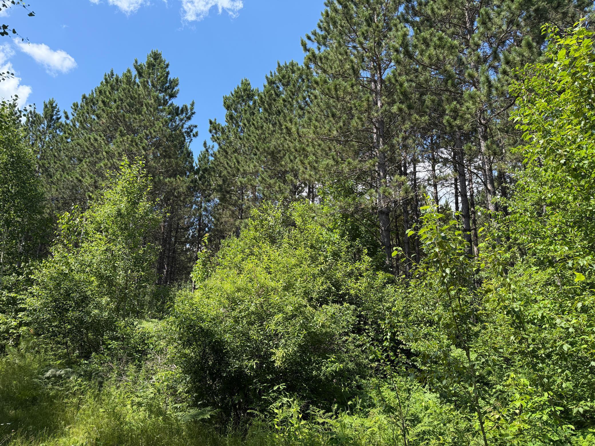 Tbd (option A) Tbd (option A) Maple Grove Road Cloquet, MN 55720 - Photo 36 of 85