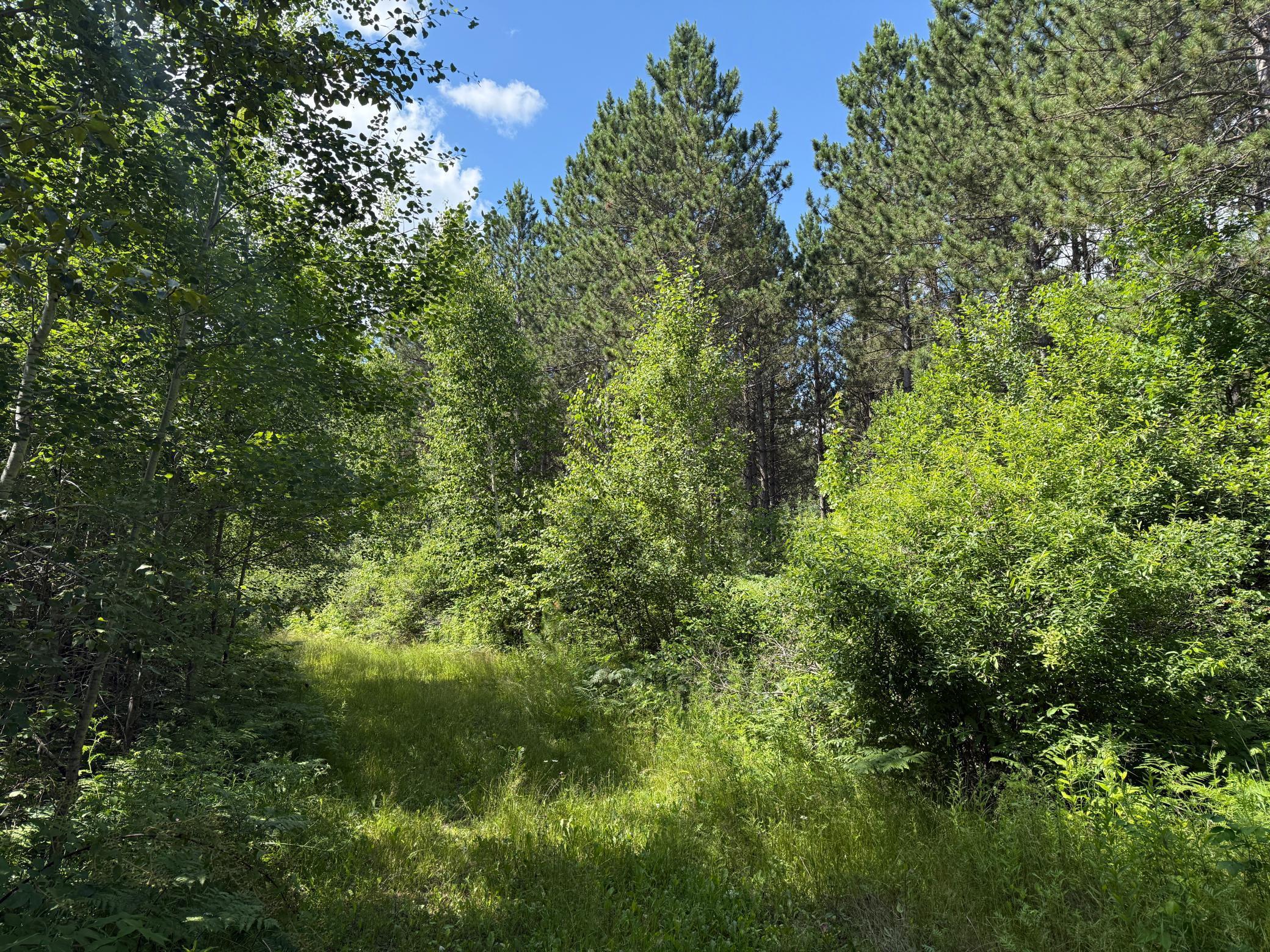 Tbd (option A) Tbd (option A) Maple Grove Road Cloquet, MN 55720 - Photo 37 of 85