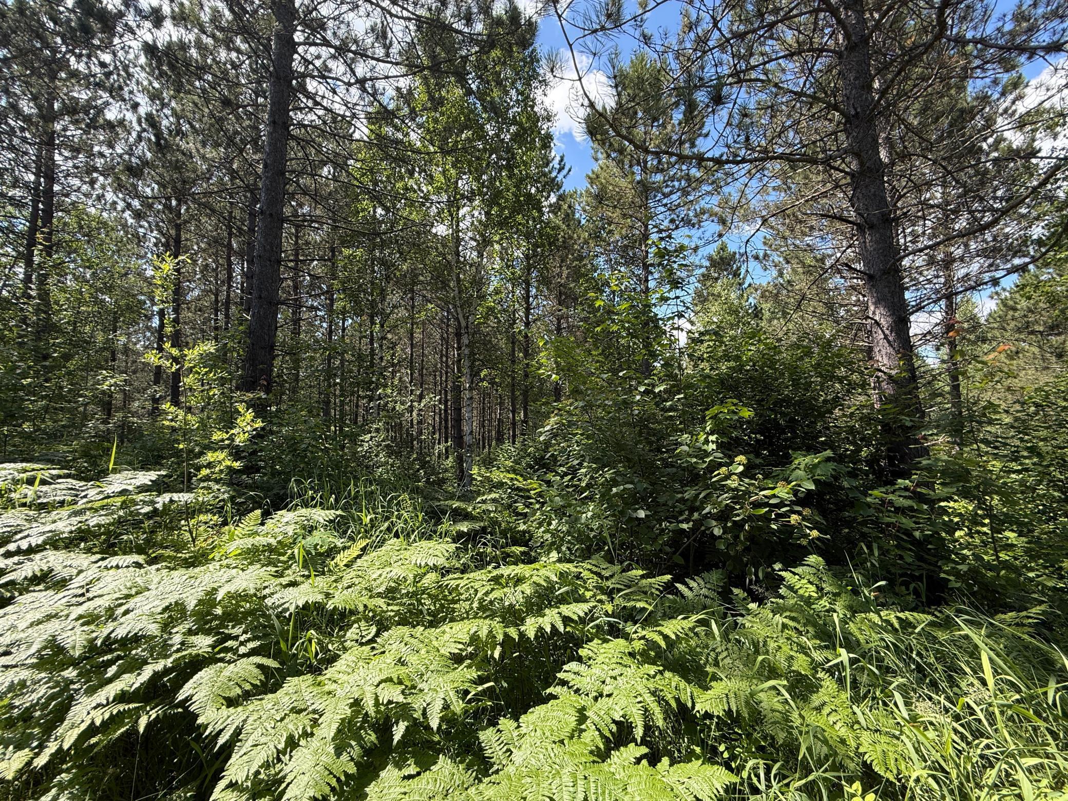 Tbd (option A) Tbd (option A) Maple Grove Road Cloquet, MN 55720 - Photo 38 of 85