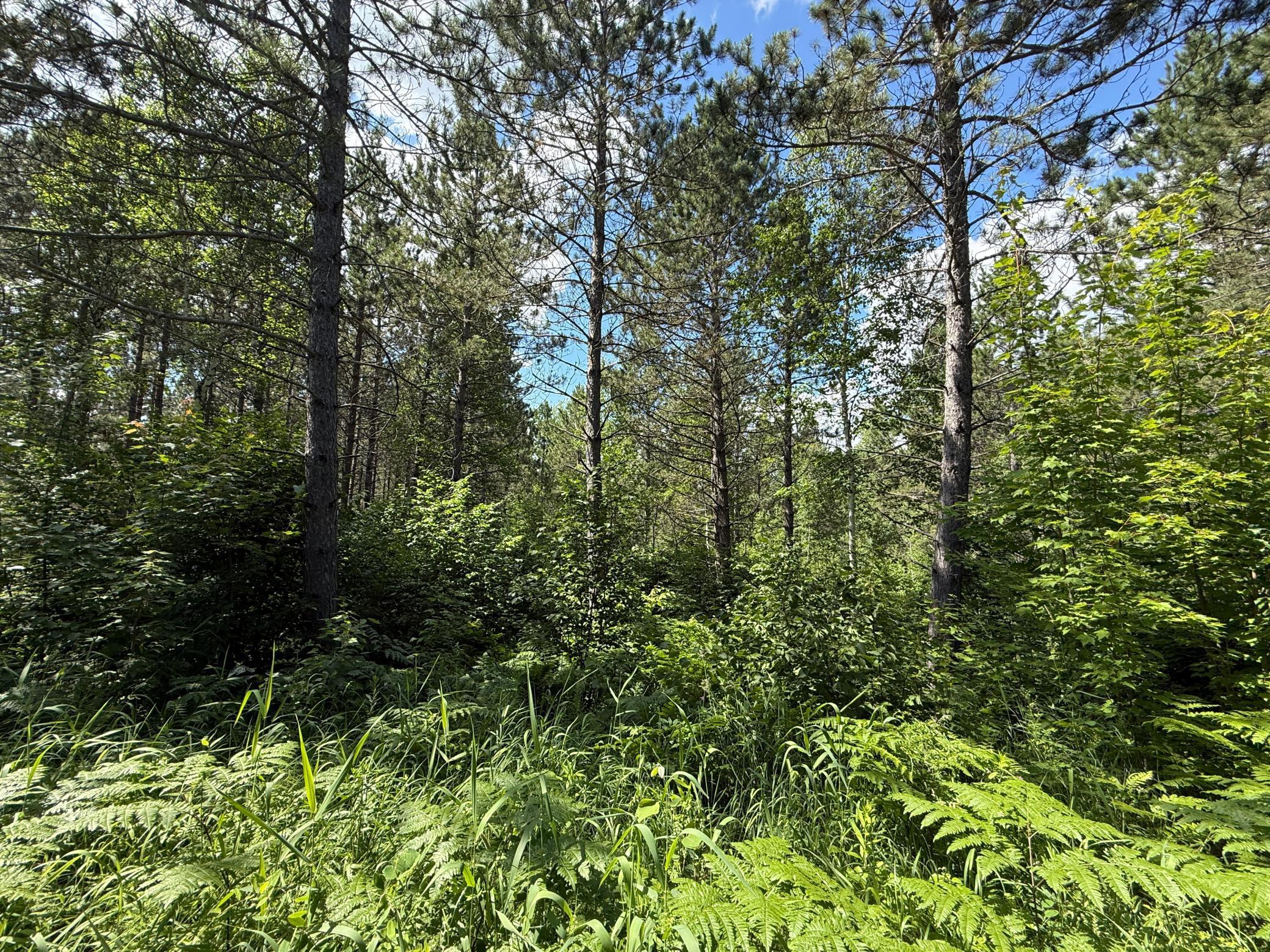 Tbd (option A) Tbd (option A) Maple Grove Road Cloquet, MN 55720 - Photo 39 of 85