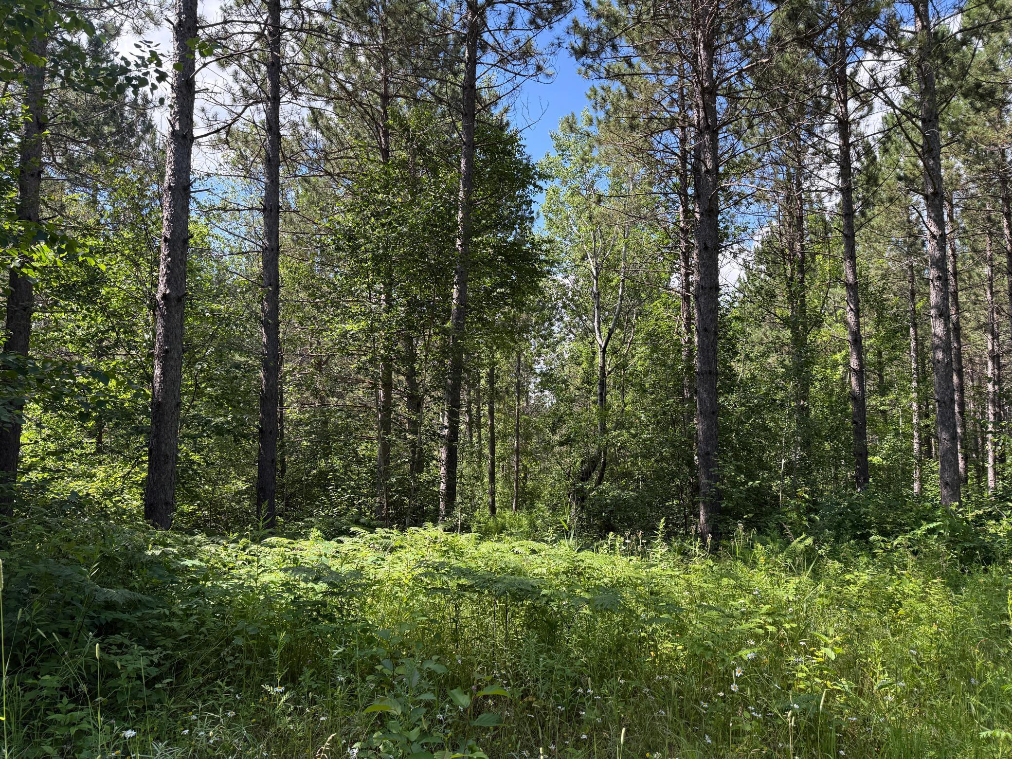 Tbd (option A) Tbd (option A) Maple Grove Road Cloquet, MN 55720 - Photo 40 of 85