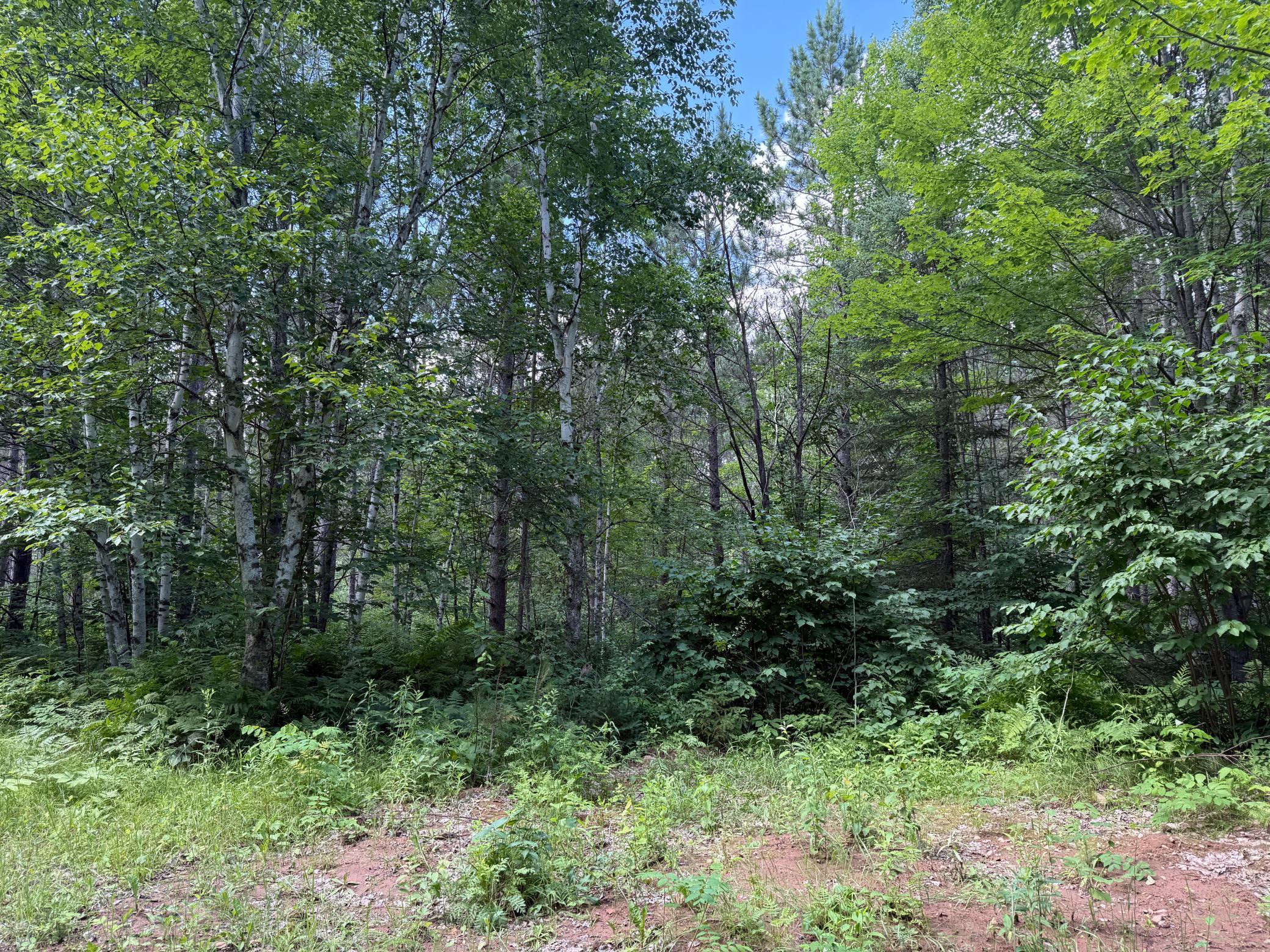 Tbd (option A) Tbd (option A) Maple Grove Road Cloquet, MN 55720 - Photo 44 of 85