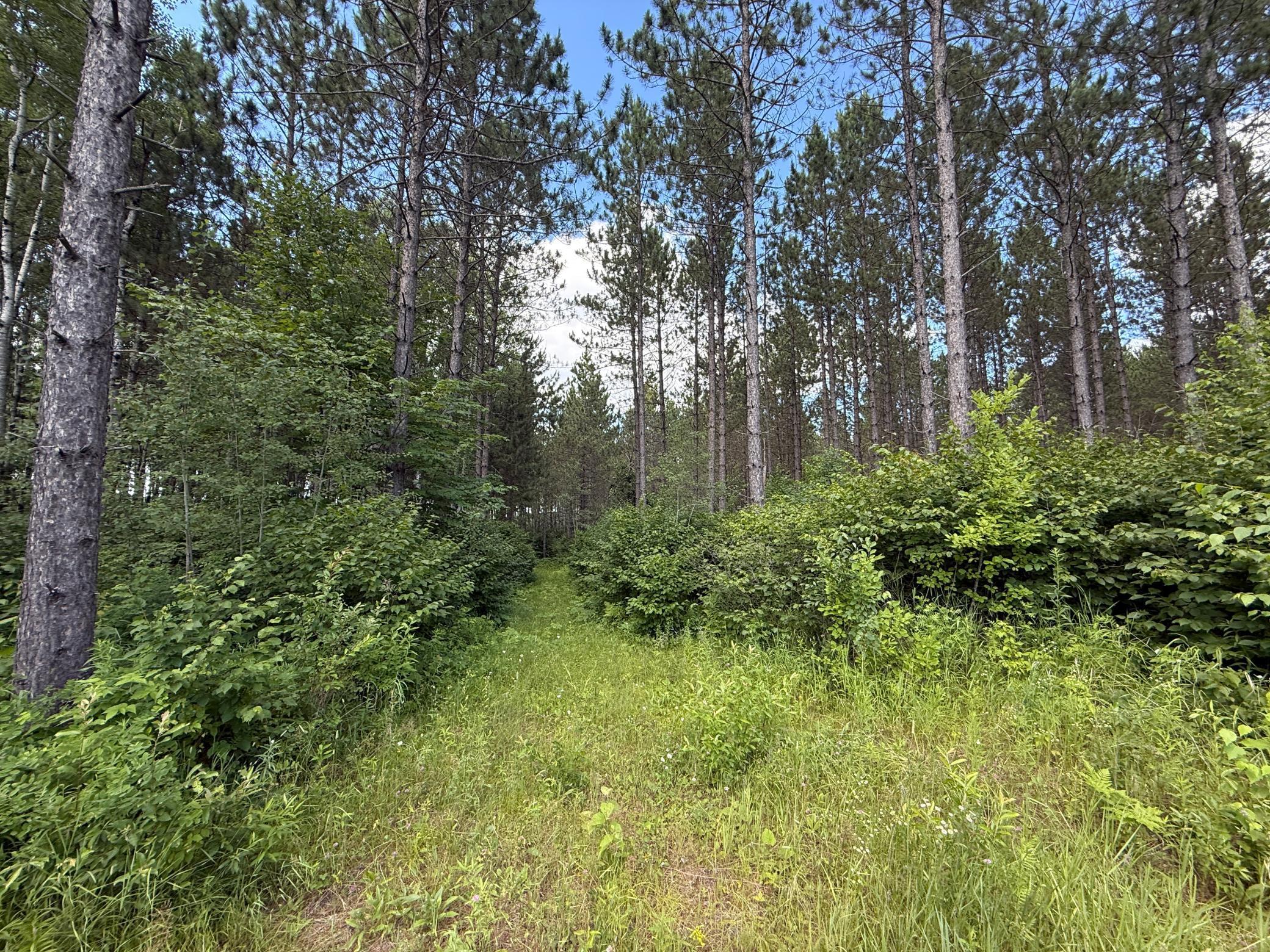 Tbd (option A) Tbd (option A) Maple Grove Road Cloquet, MN 55720 - Photo 45 of 85