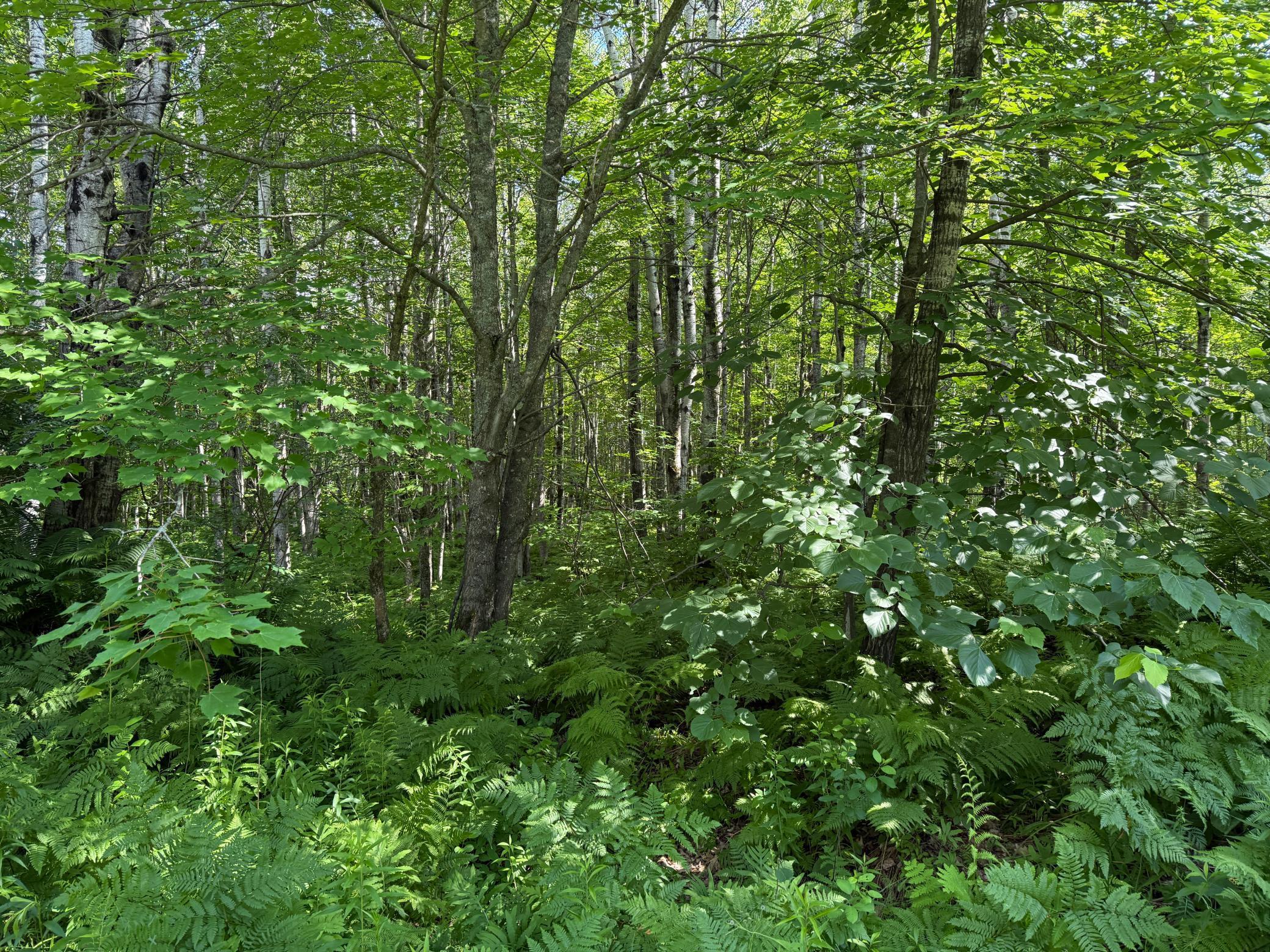 Tbd (option A) Tbd (option A) Maple Grove Road Cloquet, MN 55720 - Photo 51 of 85