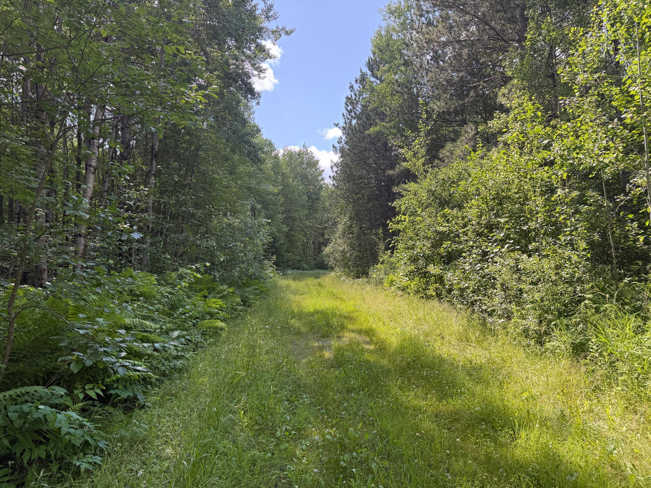 Tbd (option A) Tbd (option A) Maple Grove Road Cloquet, MN 55720 - Photo 52 of 85