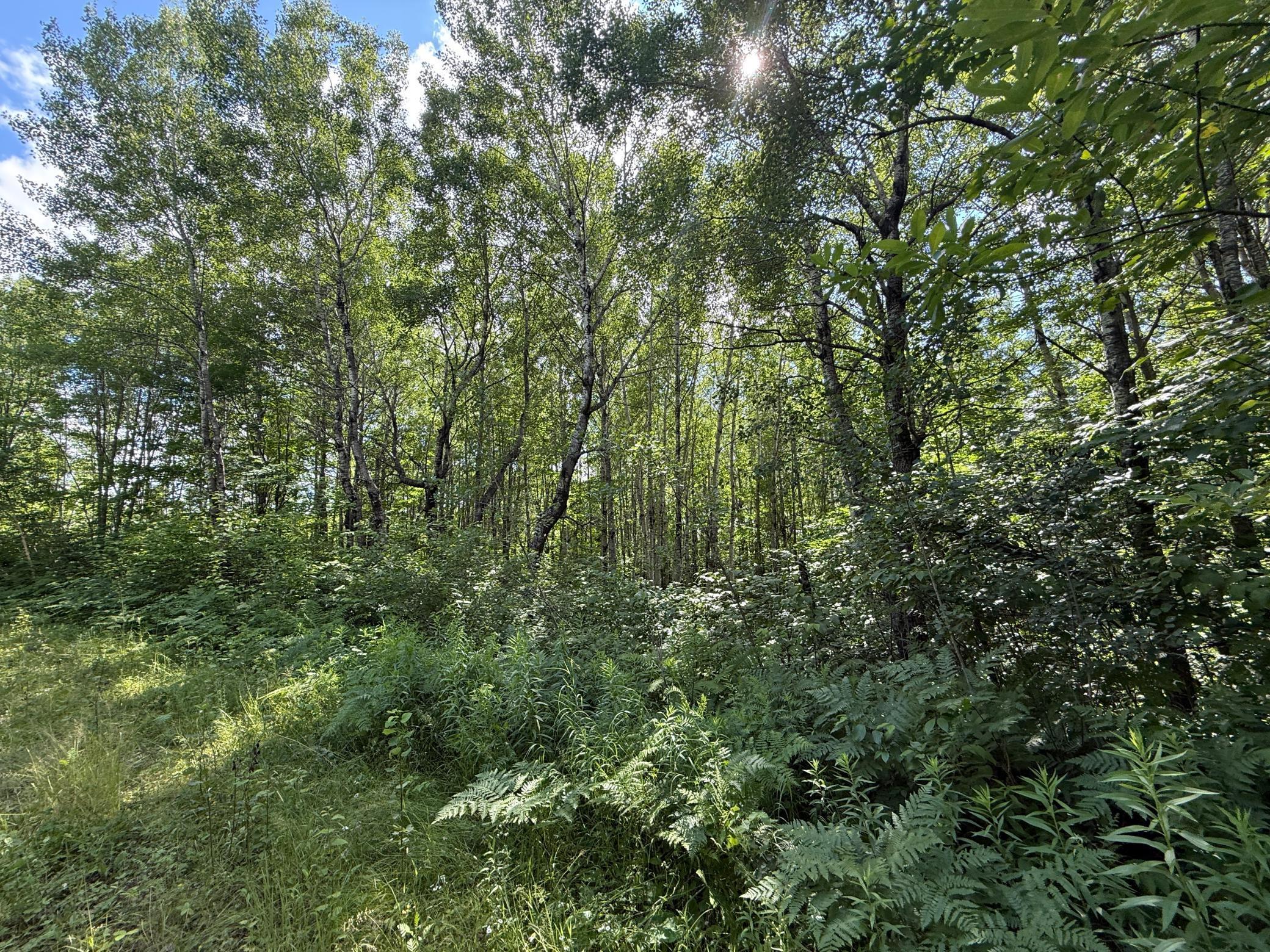 Tbd (option A) Tbd (option A) Maple Grove Road Cloquet, MN 55720 - Photo 55 of 85