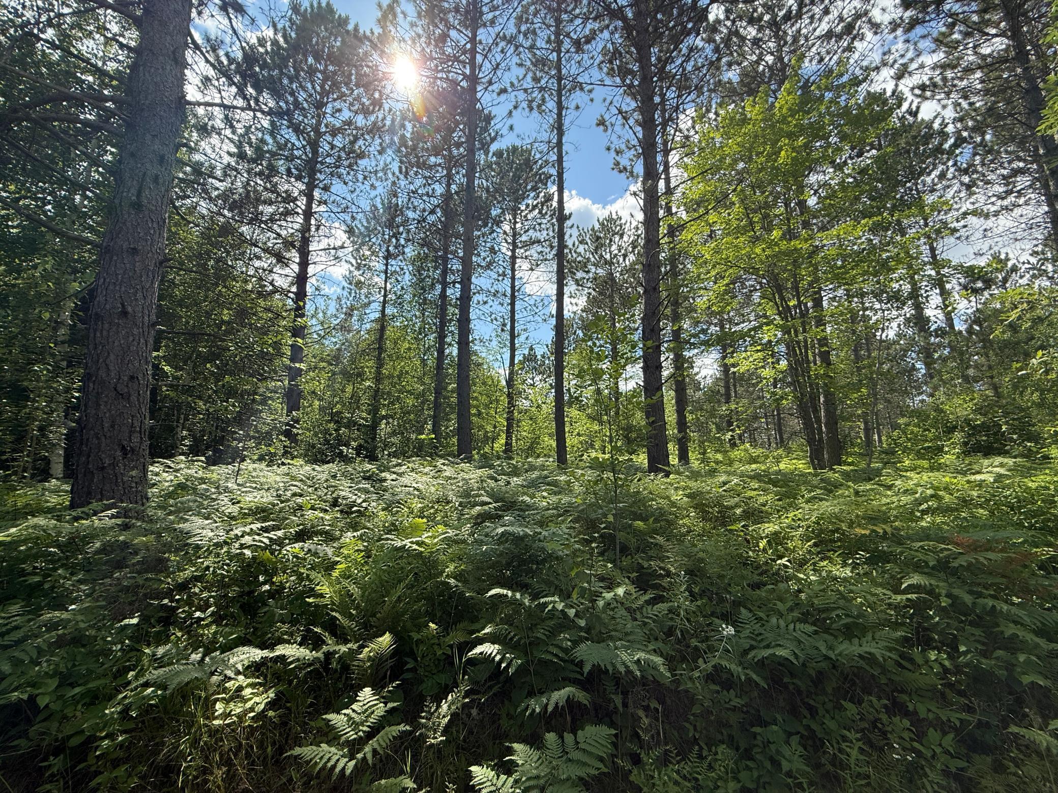 Tbd (option A) Tbd (option A) Maple Grove Road Cloquet, MN 55720 - Photo 58 of 85