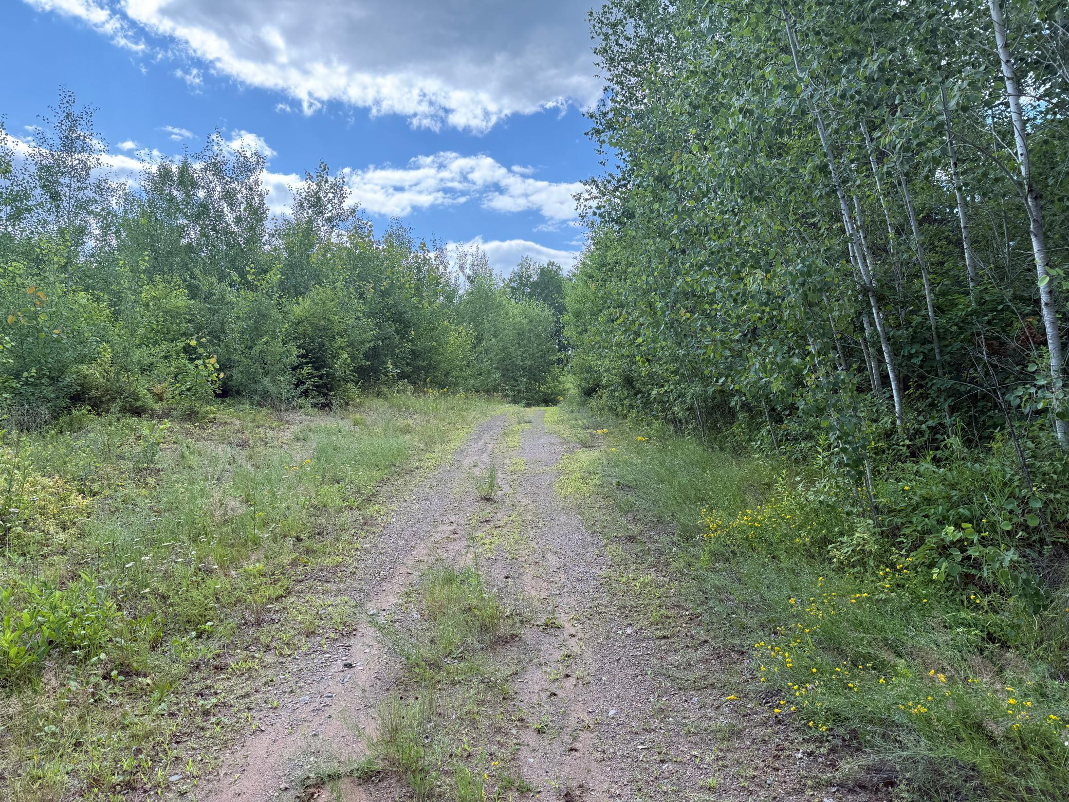 Tbd (option A) Tbd (option A) Maple Grove Road Cloquet, MN 55720 - Photo 63 of 85