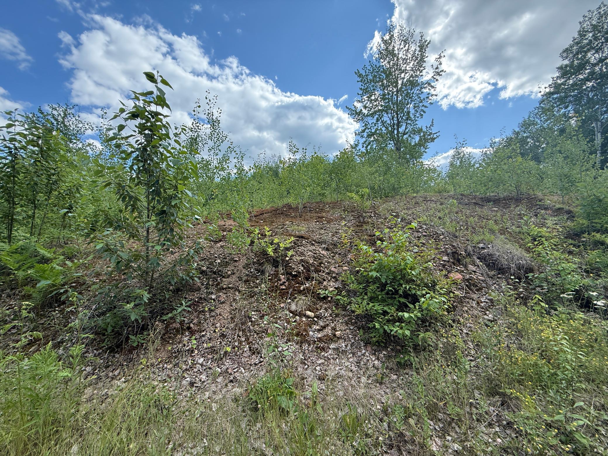 Tbd (option A) Tbd (option A) Maple Grove Road Cloquet, MN 55720 - Photo 65 of 85