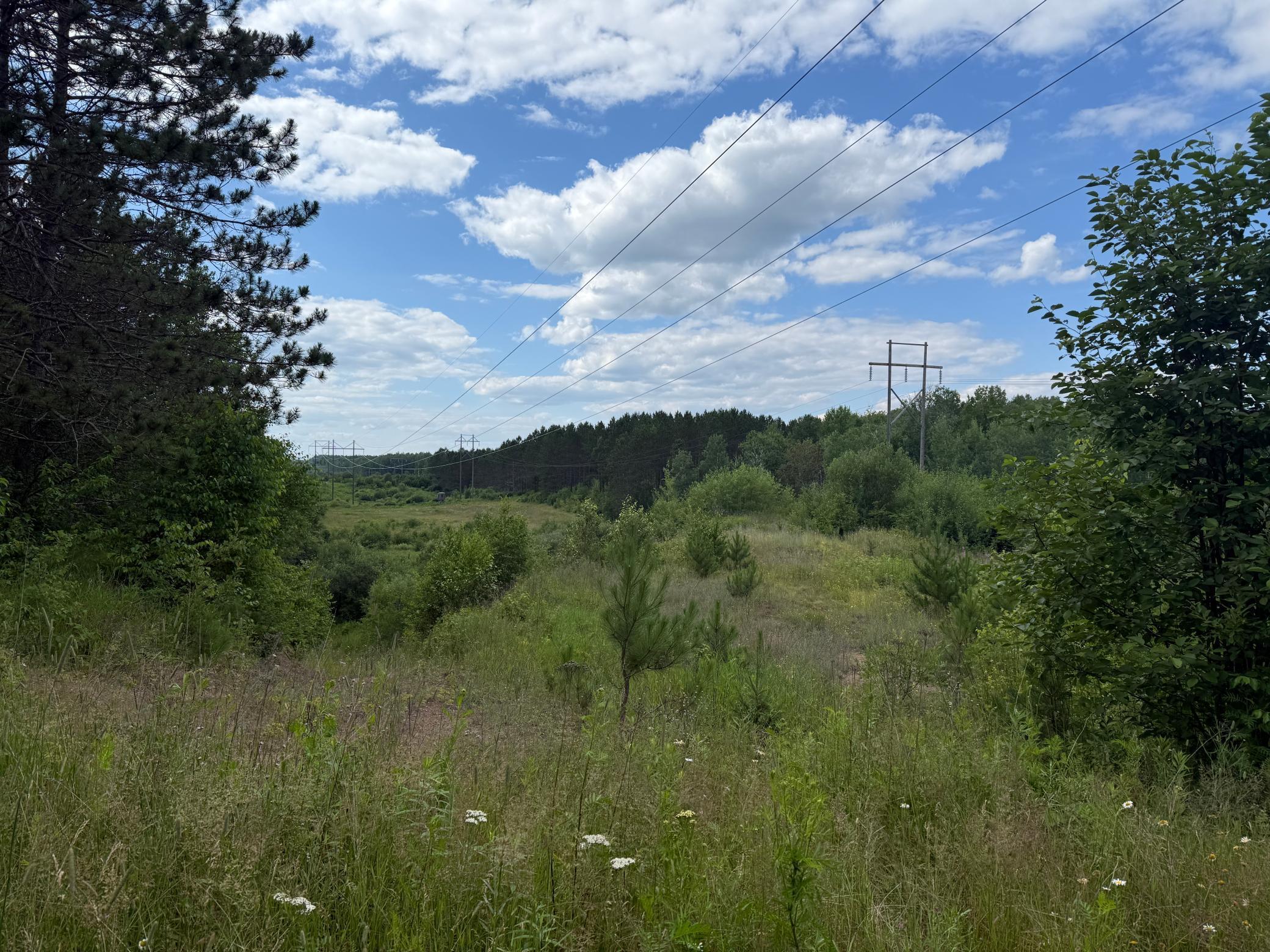 Tbd (option A) Tbd (option A) Maple Grove Road Cloquet, MN 55720 - Photo 70 of 85