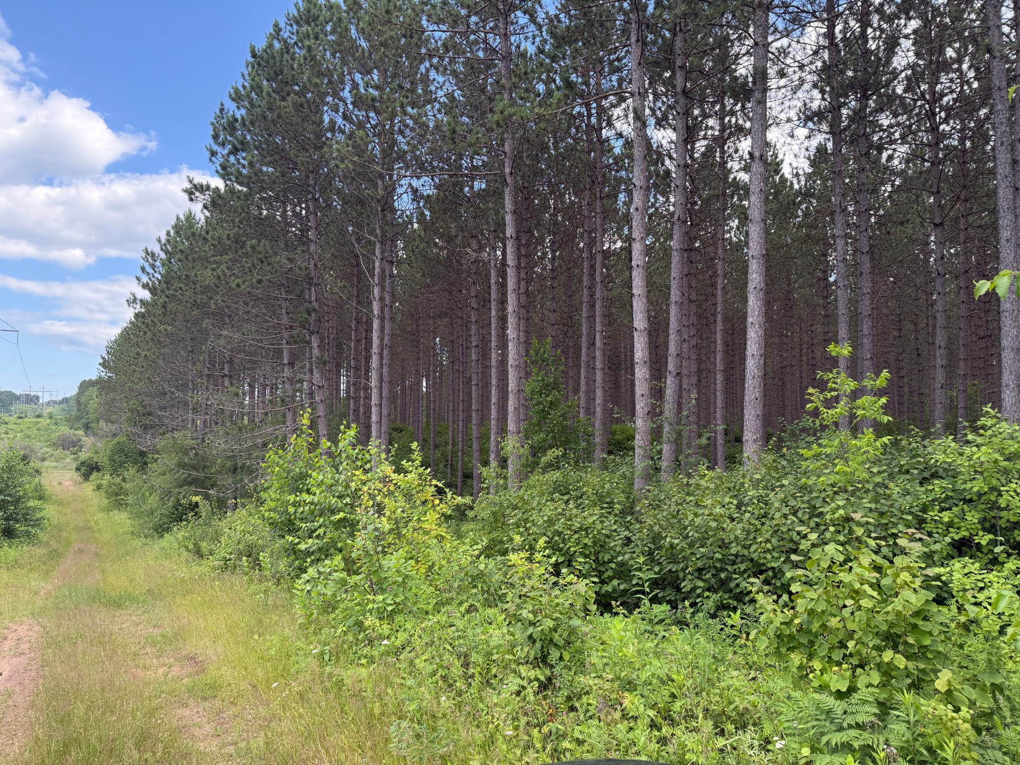Tbd (option A) Tbd (option A) Maple Grove Road Cloquet, MN 55720 - Photo 71 of 85