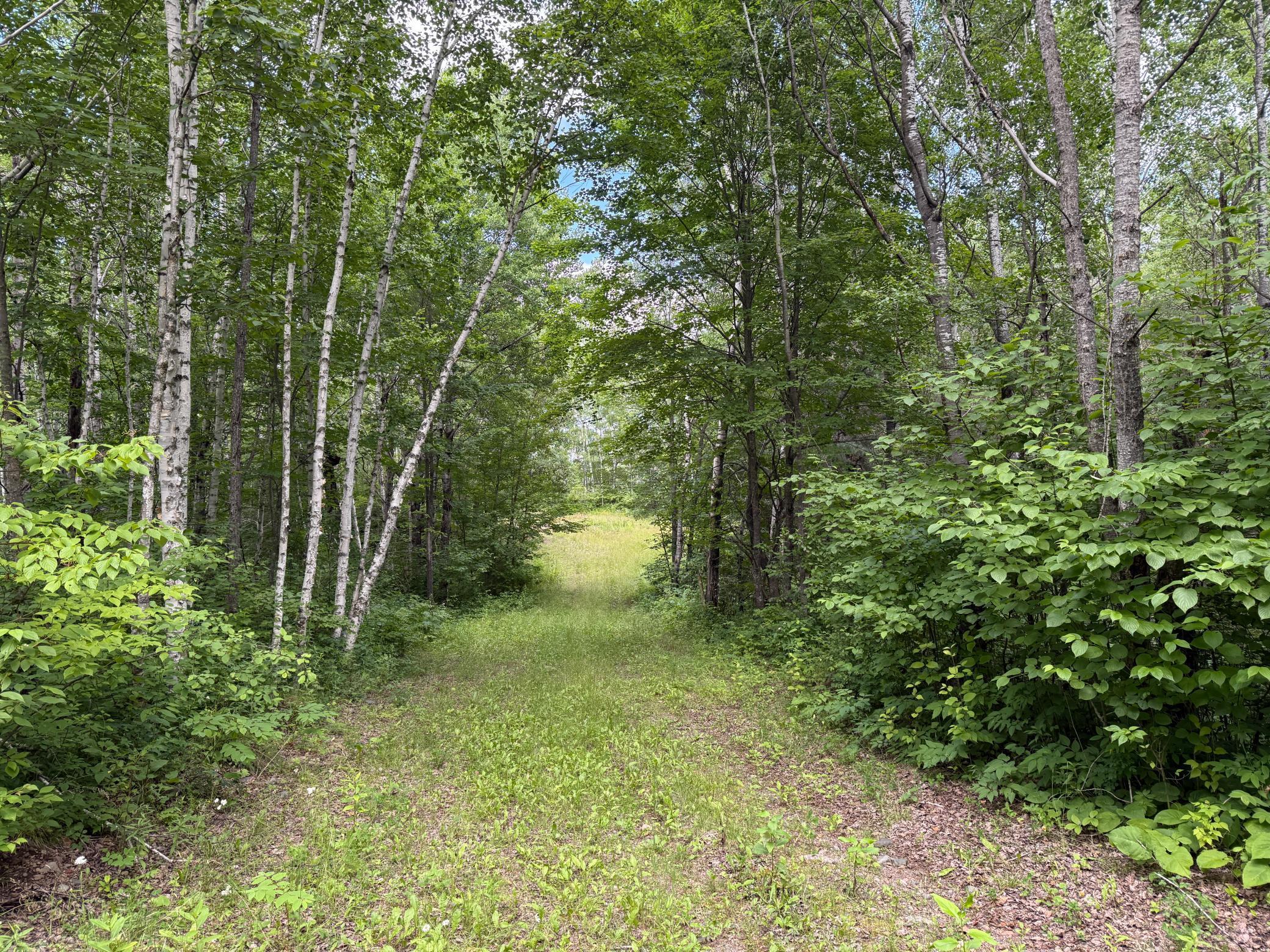 Tbd (option A) Tbd (option A) Maple Grove Road Cloquet, MN 55720 - Photo 78 of 85