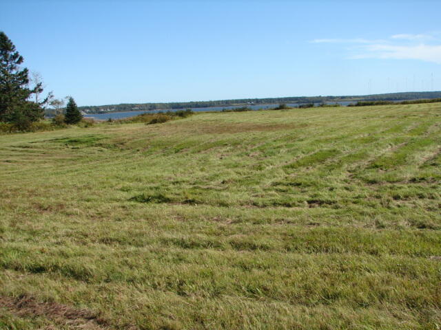 1059 Cutler Road Whiting, ME 04691 - Photo 4 of 8 DSC00264