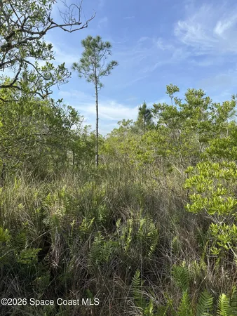 $27,900 | Undisclosed Address, Cocoa, FL 32926