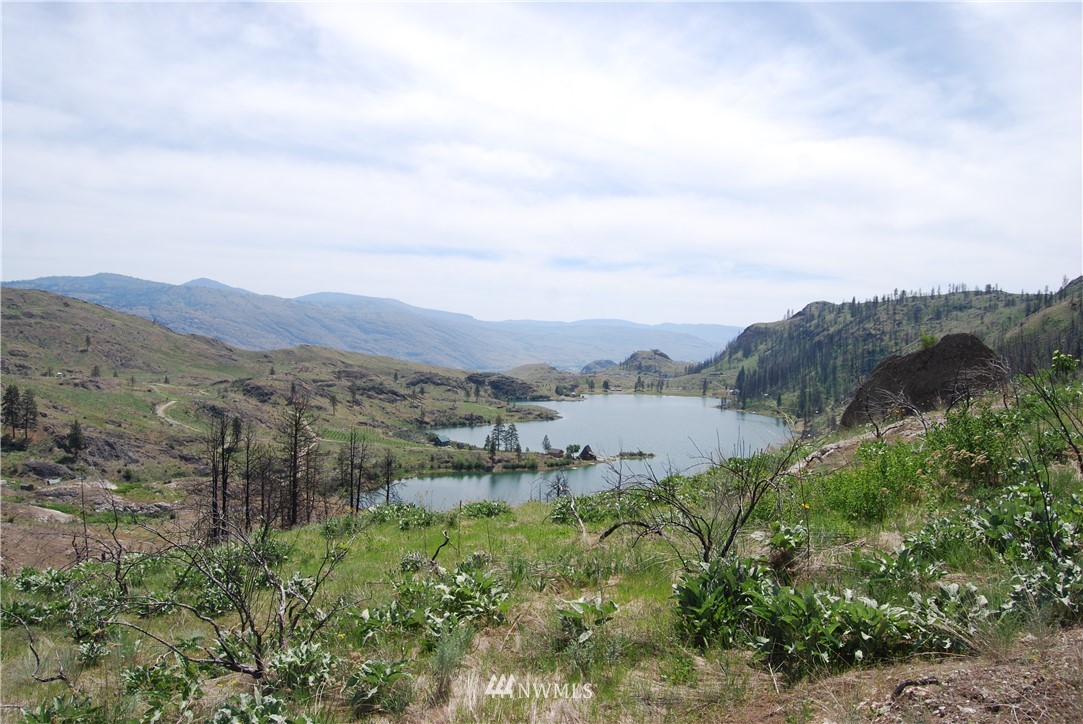 0 7 Lakes Road Riverside, WA 98849 - Photo 21 of 24
