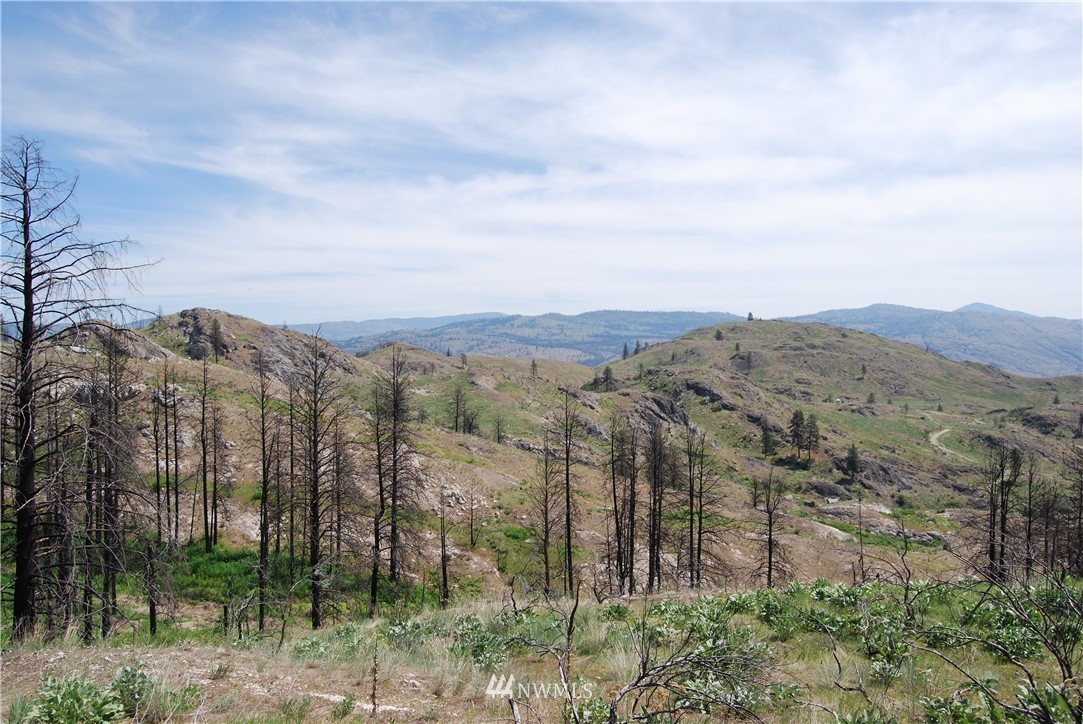 0 7 Lakes Road Riverside, WA 98849 - Photo 22 of 24