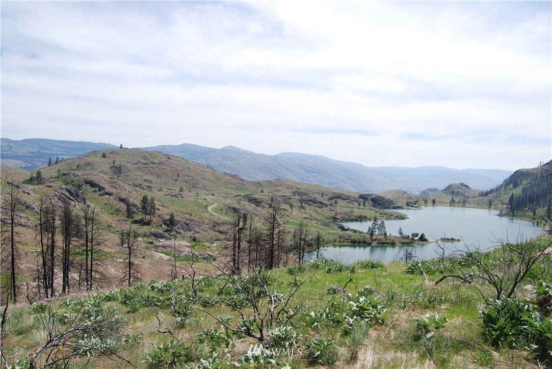 0 7 Lakes Road Riverside, WA 98849 - Photo 23 of 24