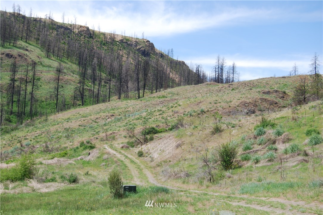 0 7 Lakes Road Riverside, WA 98849 - Photo 10 of 24