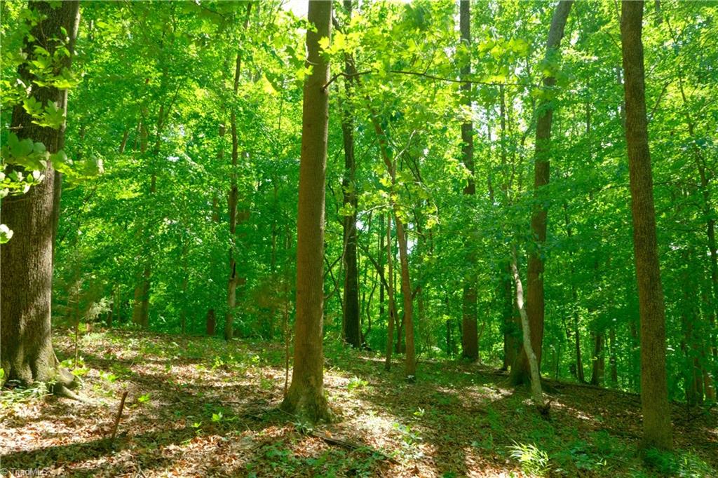 2 Powell Bridge Road Harmony, NC 28634 - Photo 11 of 30