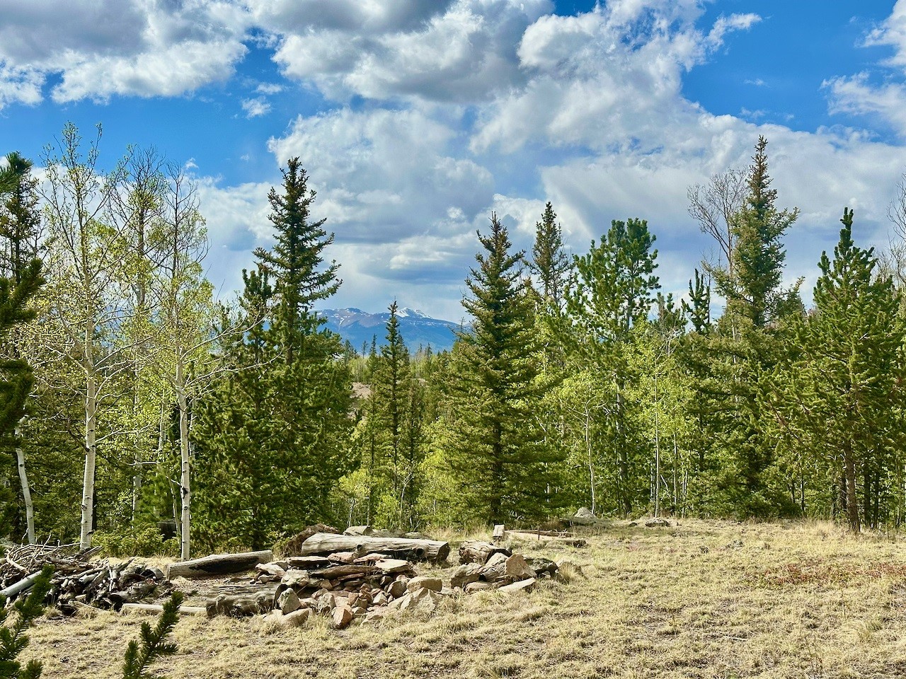 312 Bowstring Road Como, CO 80456 - Photo 33 of 43