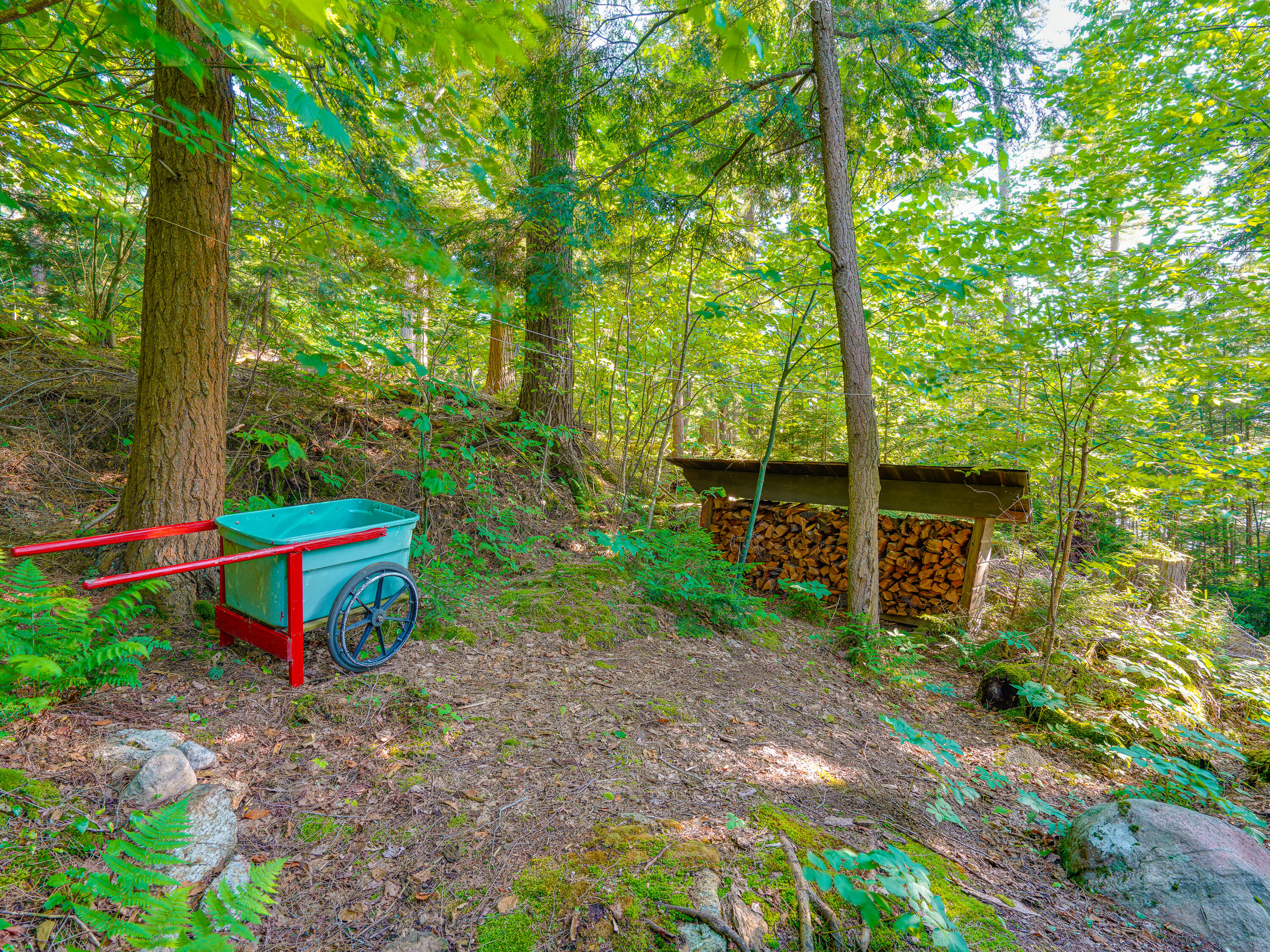 7 Bluff Island Tupper Lake, NY 12986 - Photo 37 of 63 Bluff Island-60
