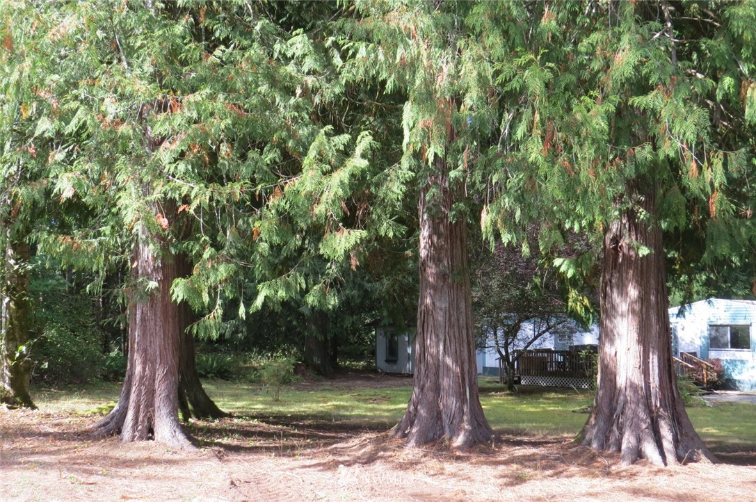 3052 Deer Park Road Port Angeles, WA 98362 - Photo 1 of 8 Gallery Image 1
