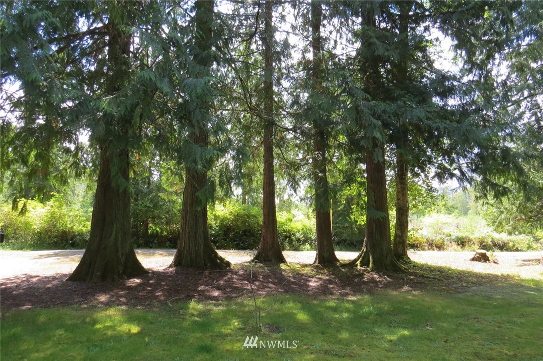 3052 Deer Park Road Port Angeles, WA 98362 - Photo 2 of 8 Gallery Image 2