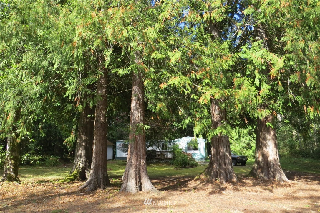 3052 Deer Park Road Port Angeles, WA 98362 - Photo 3 of 8 Gallery Image 3