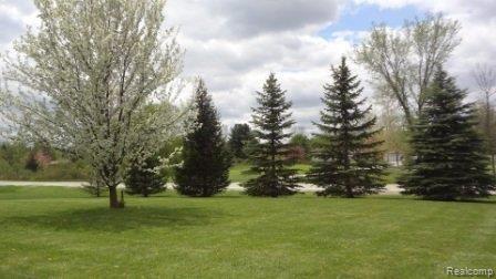 725 Mayer Road St. Clair, MI 48079 - Photo 17 of 22 Front yard.JPG