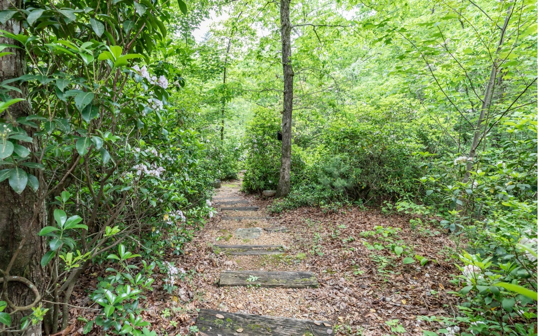 653 Barlow Fields Drive Hayesville, NC 28904 - Photo 63 of 75 Additional View