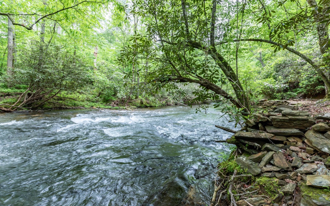 653 Barlow Fields Drive Hayesville, NC 28904 - Photo 64 of 75 Additional View
