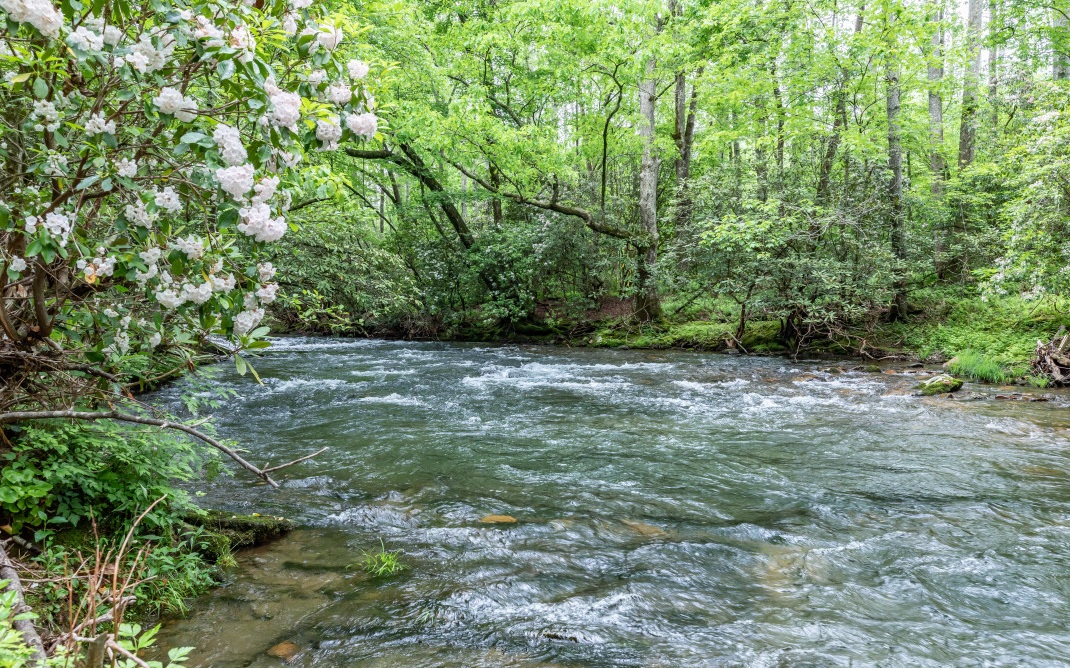 653 Barlow Fields Drive Hayesville, NC 28904 - Photo 65 of 75 Additional View