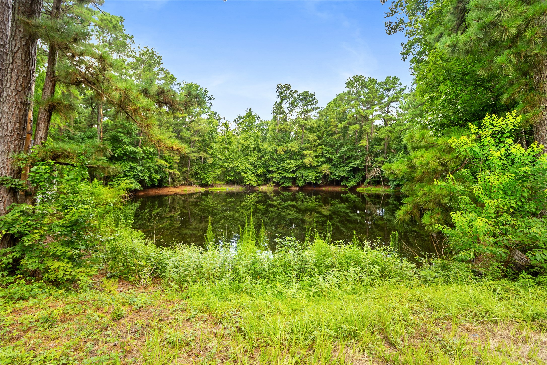 38 Darrell White Road Huntsville, TX 77340 - Photo 40 of 49 a view of lake with green space