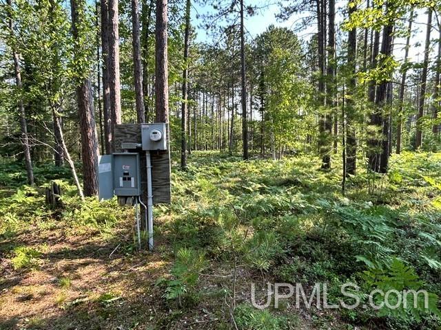 Lot 62 Little Rice Lake Road Lake Linden, MI 49945 - Photo 37 of 52 Gallery Image 37