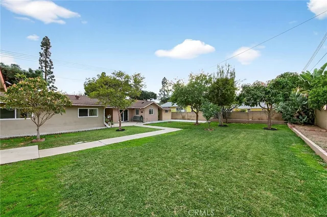 a view of a park with a large tree