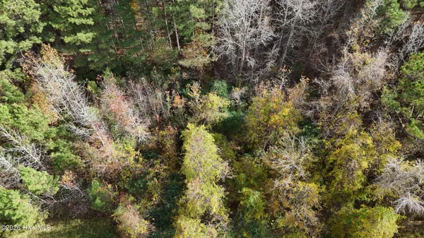 $20,000 | 0 Sr 1100 Blounts Creek, Blounts Creek, NC 27814