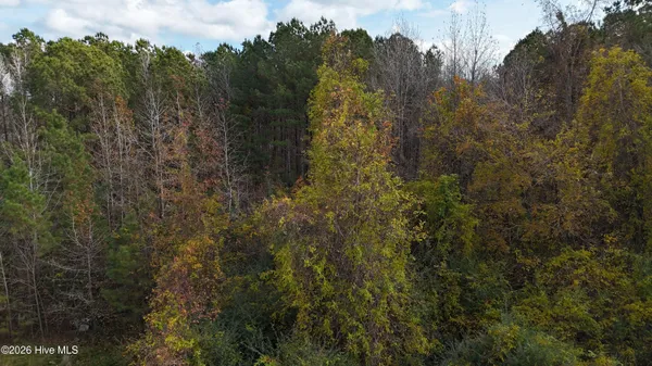 $20,000 | 0 Sr 1100 Blounts Creek, Blounts Creek, NC 27814