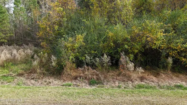 $20,000 | 0 Sr 1100 Blounts Creek, Blounts Creek, NC 27814