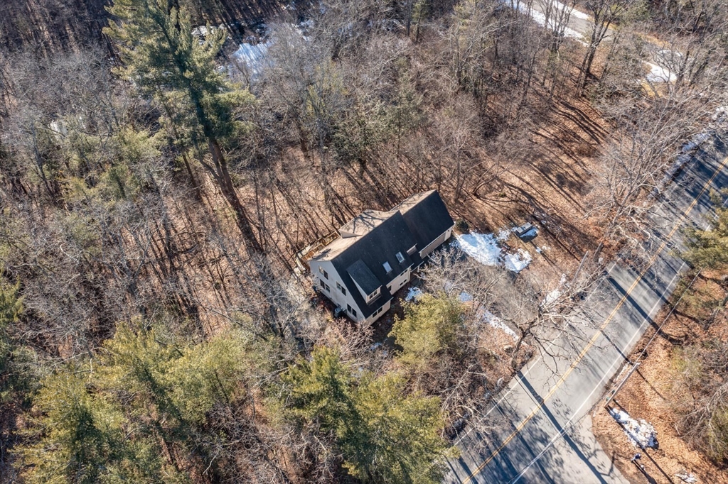 642 North Farms Road Northampton, MA 01062 - Photo 34 of 42 a view of a tree with a yard
