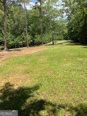 0 Poplar Place Wedowee, AL 36278 - Photo 9 of 11