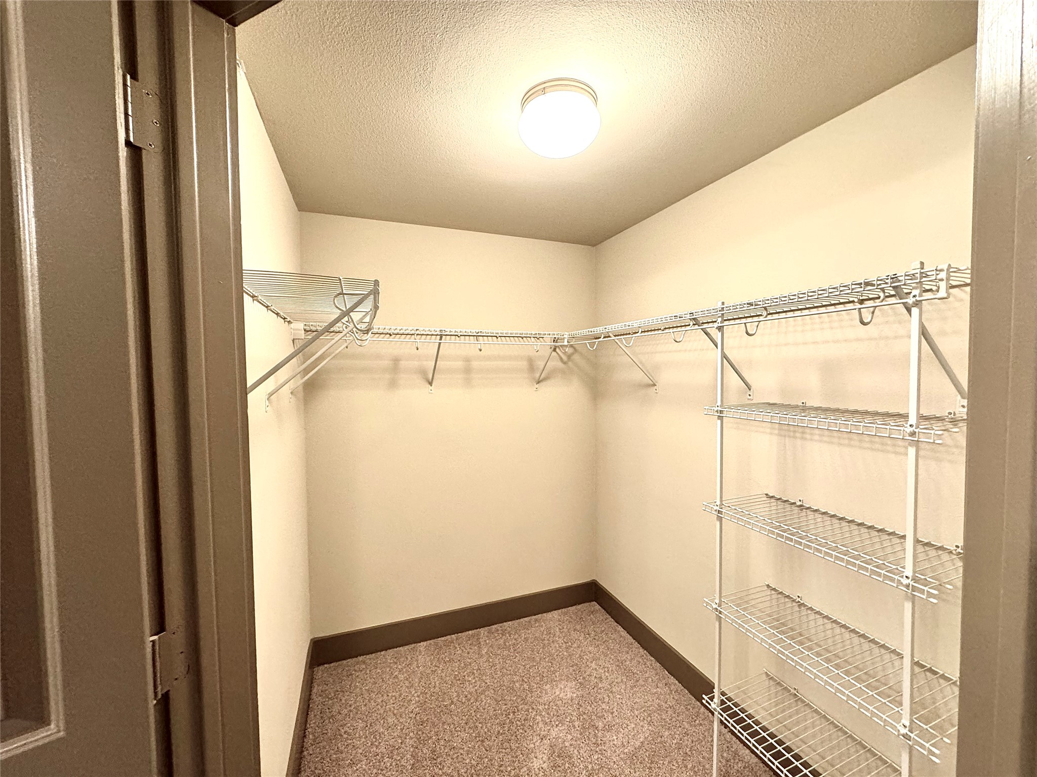 2033 South Gessner Road, Unit 2105 Houston, TX 77063 - Photo 8 of 23 a view of walk in closet with empty racks