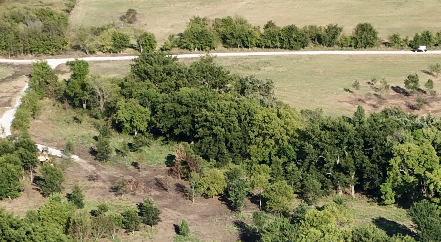 6 West 3200 Road Ramona, OK 74061 - Photo 3 of 7 Perfect mixture of mature trees and open land
