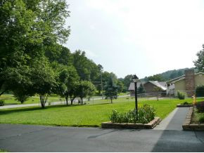 3442 Forest View Road Kingsport, TN 37660 - Photo 12 of 20 Level Yard